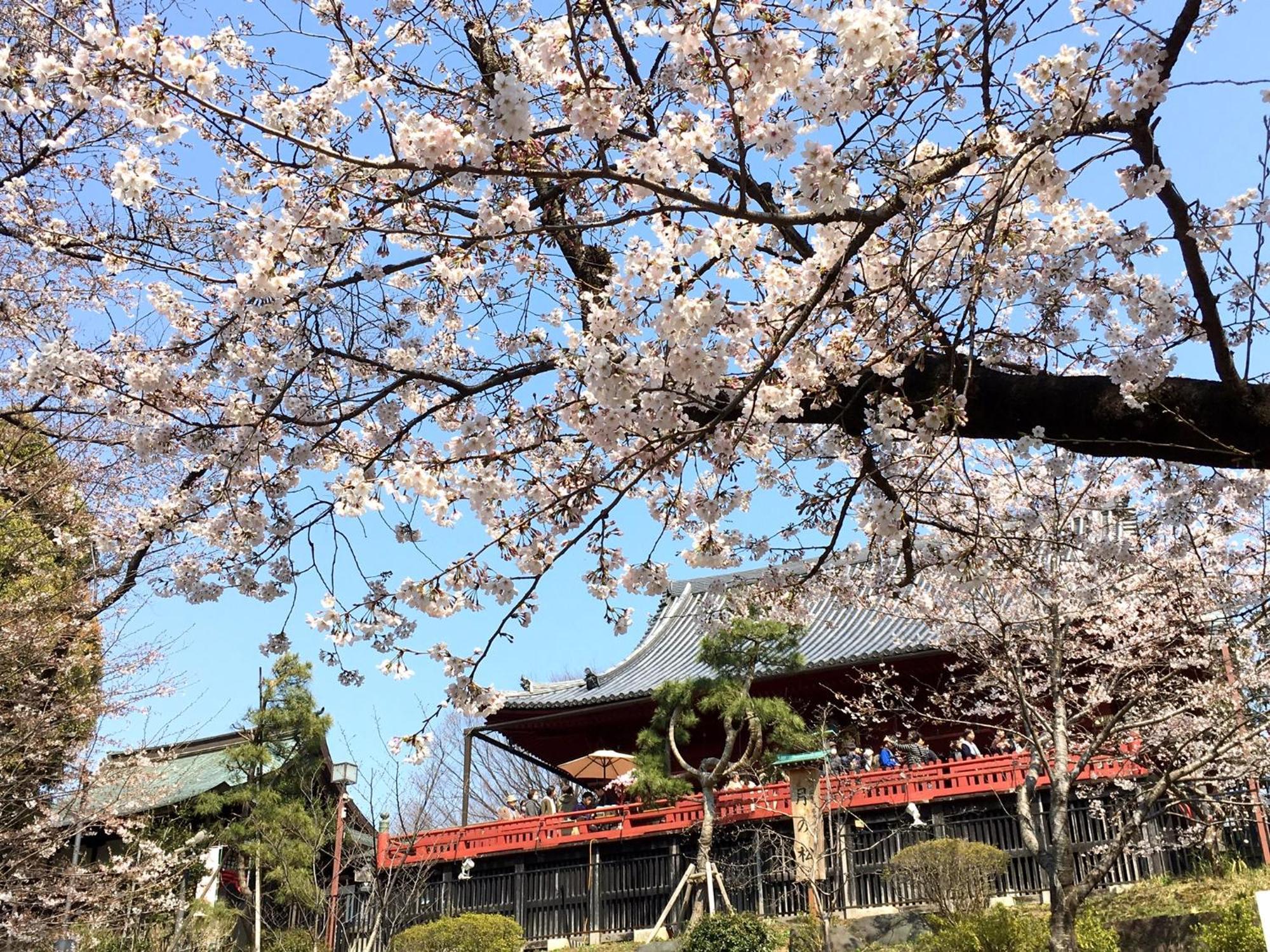 Hotel Mystays Ueno East — Zdjęcia 2